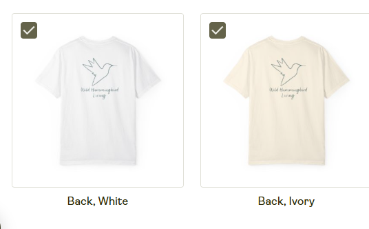 Own Your Wings Tee — "Ignore the Pigeons" Inspirational Hummingbird Shirt